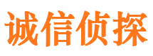 田家庵市调查公司